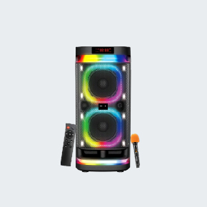 Digie Party Speaker 80W